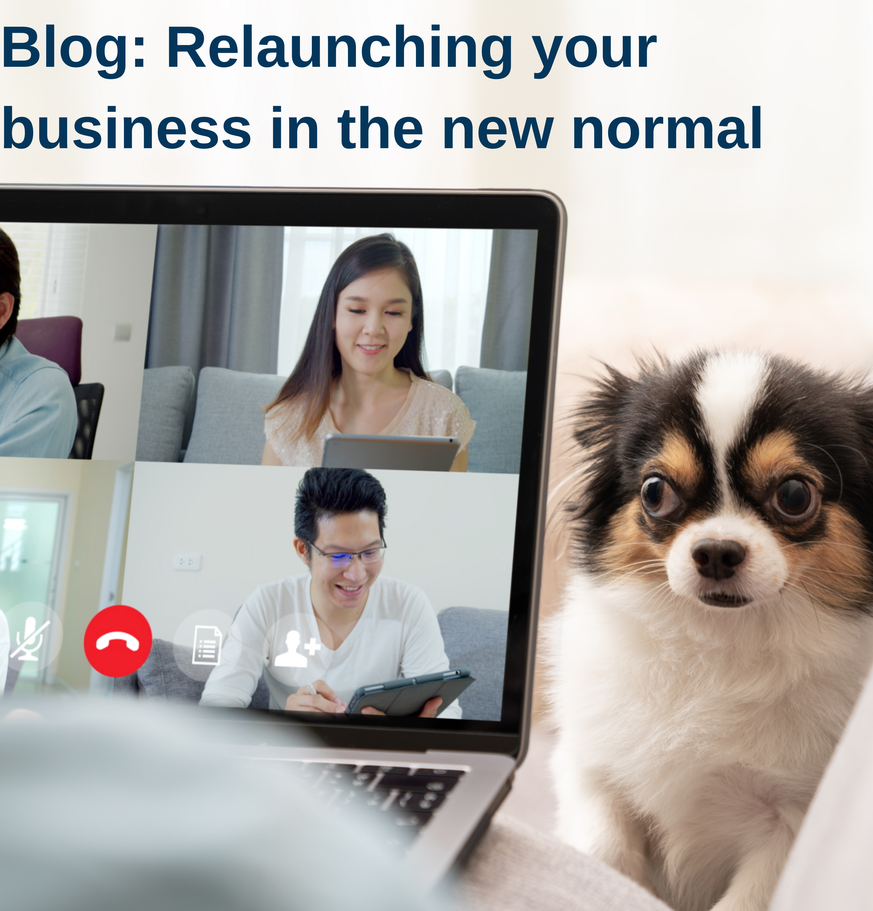 Blog post: Relaunching your business in the new normal